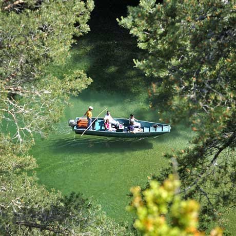 Lozère Tourisme Official Tourism Website To Organise Your Holiday