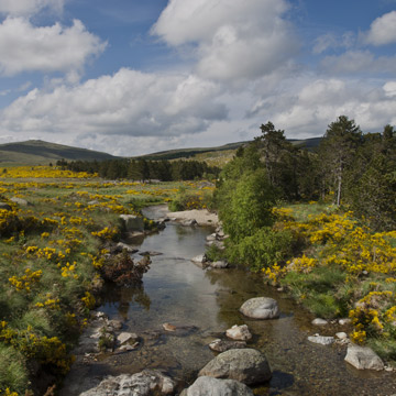 A la découverte des sources du Tarn