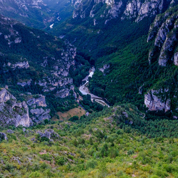 Les Gorges du Tarn