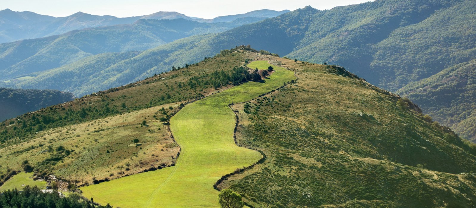 parc des cévennes photo